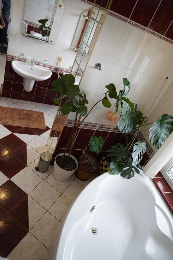 Agroturystyka Willa Ola Giewartów Extérieur photo